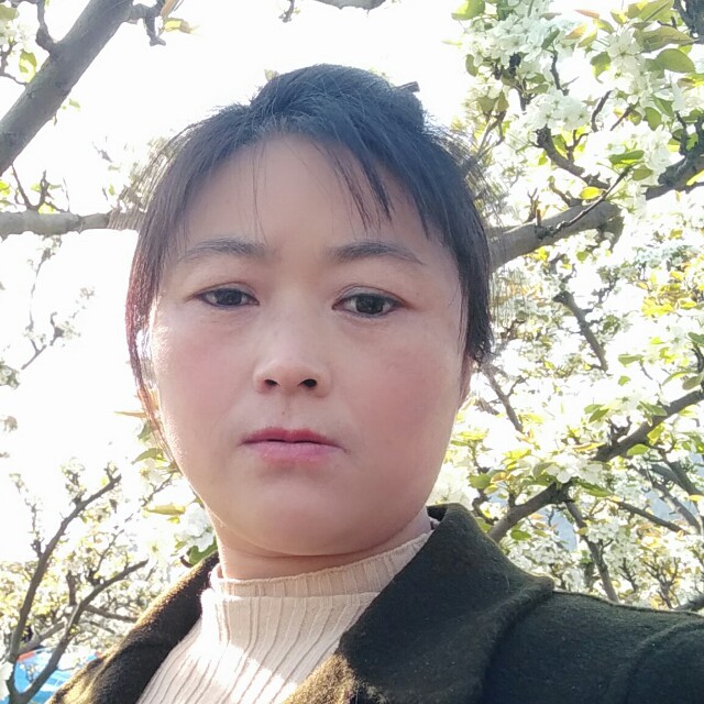 青栀拾忆犹豫的照片