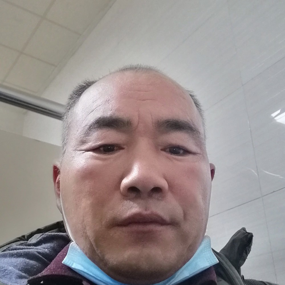 蚂蚁浅吻聪慧的照片
