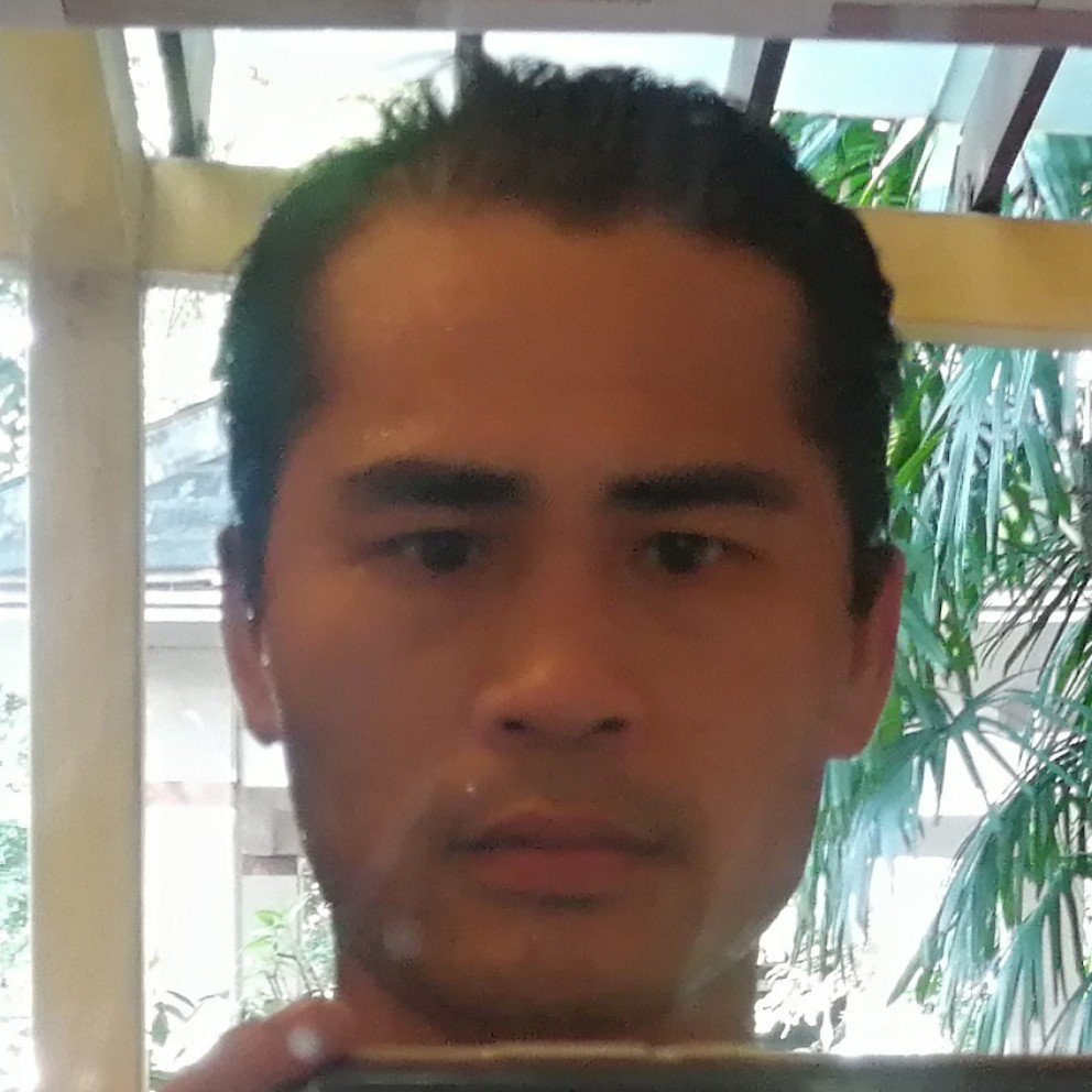 流浪的风你要去哪的照片