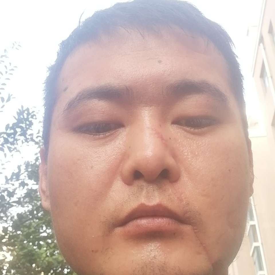 華麗凝眸康乃馨的照片