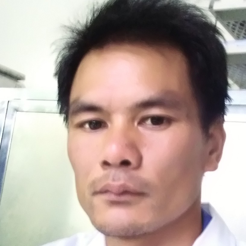 聪明的海豚的照片