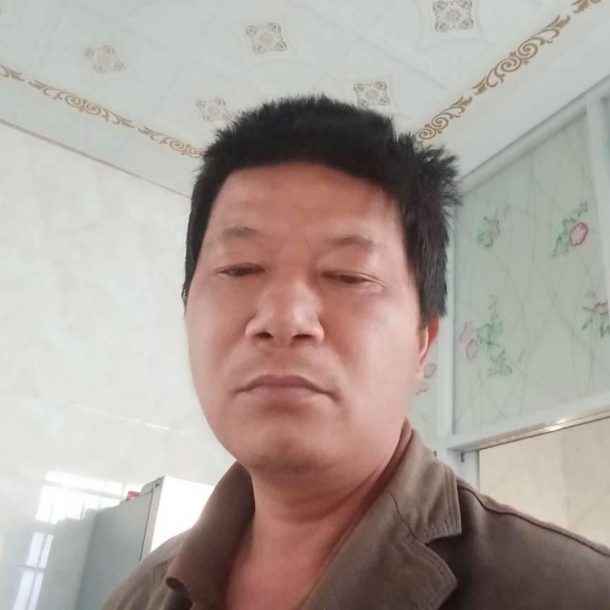 高挑蹁跹豌豆的照片