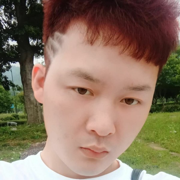 有魅力有蜻蜓的照片