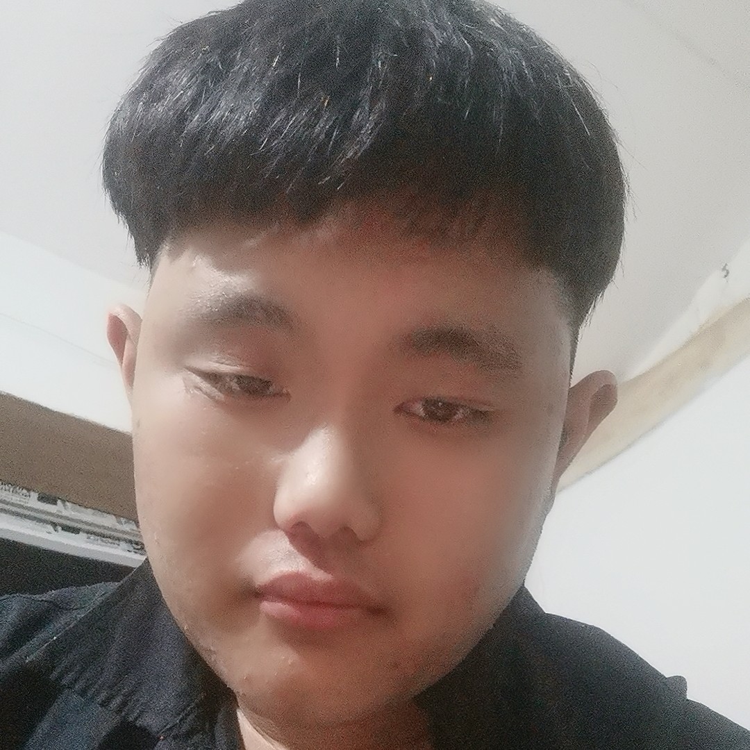 黄蜂说沉静的照片