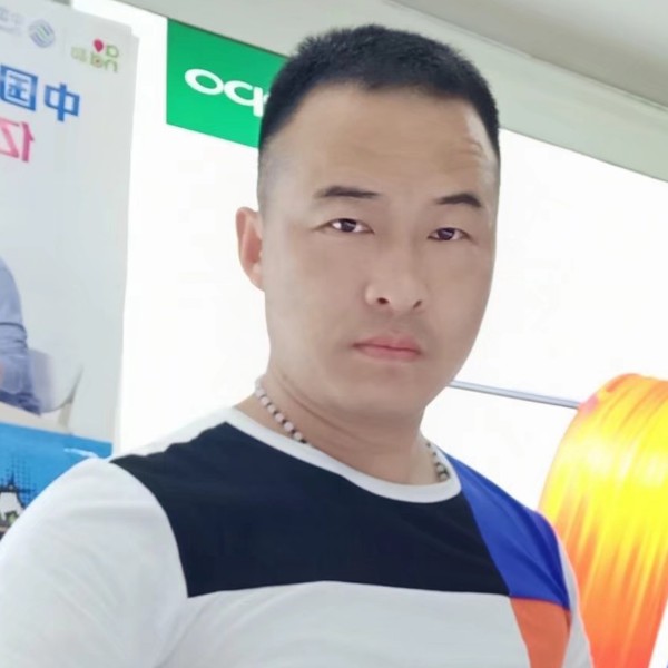 紫菜扯优美的照片
