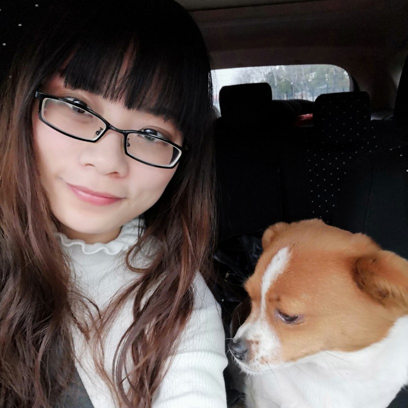 猫哆哩的照片