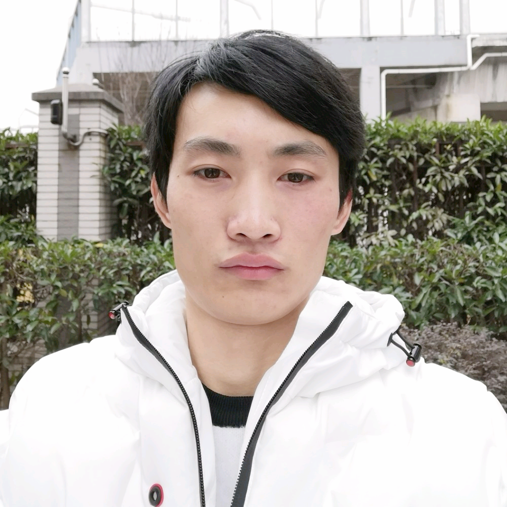 火星上金毛的照片