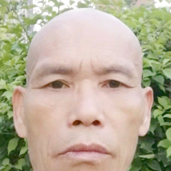 春媱等待沉静的照片
