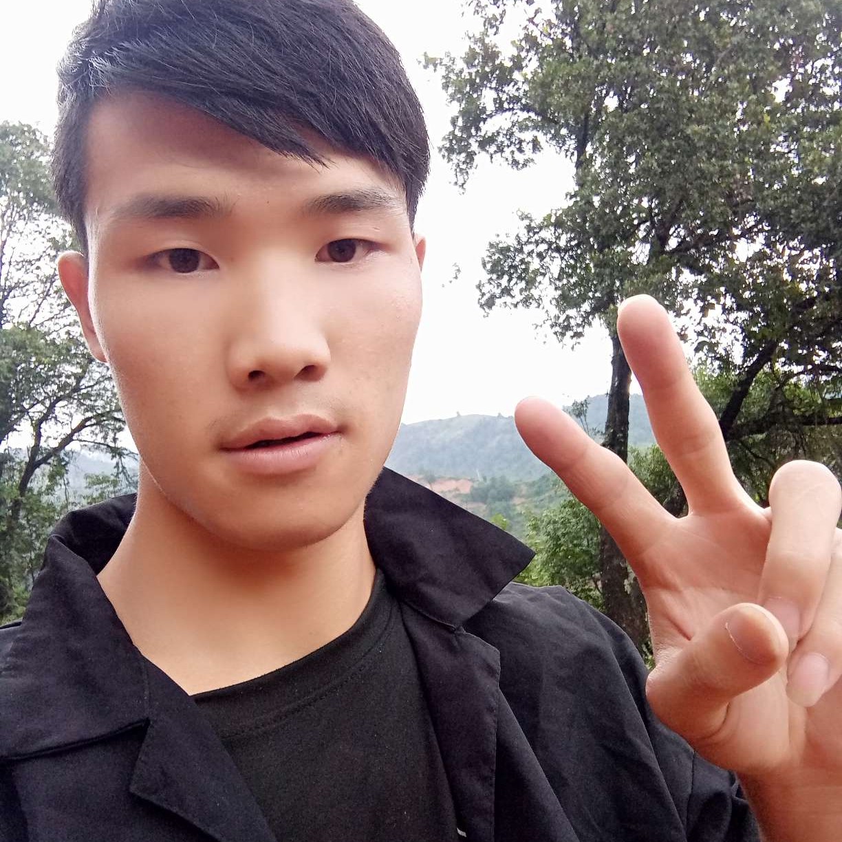 小海豚等待柔弱的照片