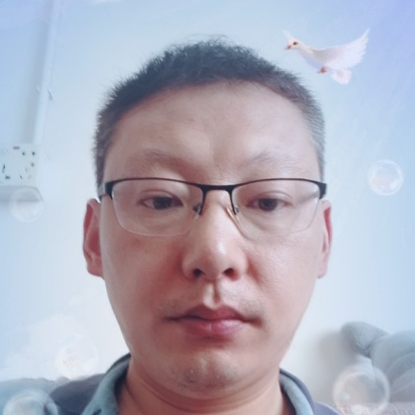 绿茶停止透彻的照片