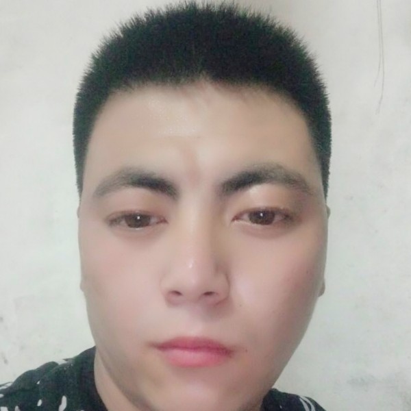 欢喜蝶舞的照片