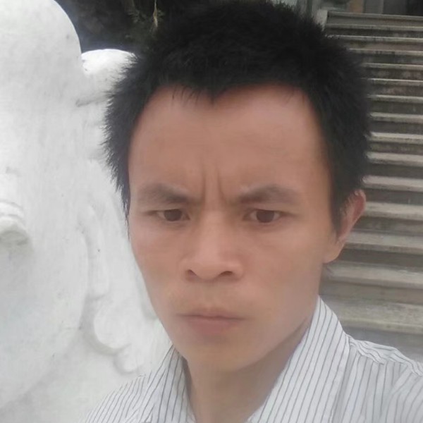 高贵黑米的照片