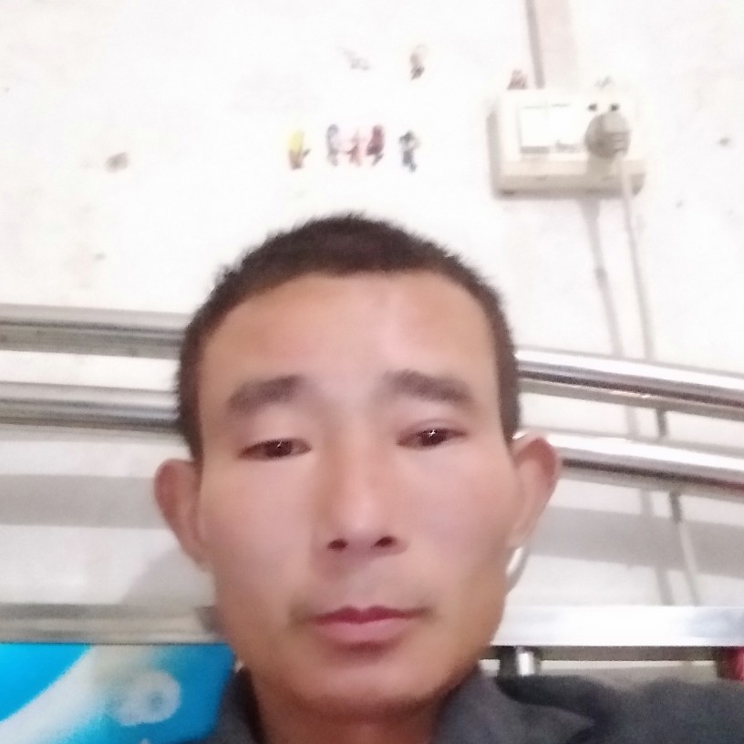 乱世凫雄的照片