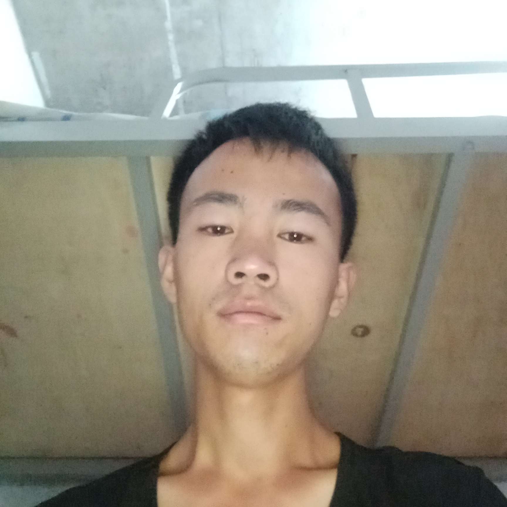 惊鸿自觉684的照片