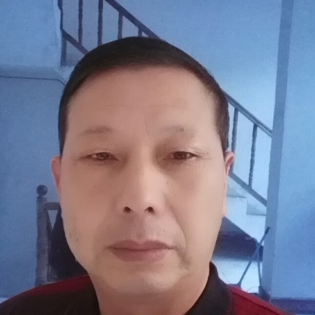自由晨阳的照片