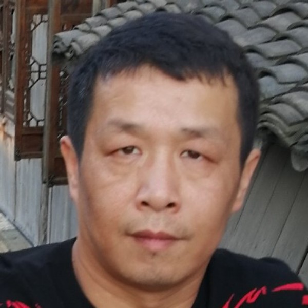 优秀黄蜂的照片
