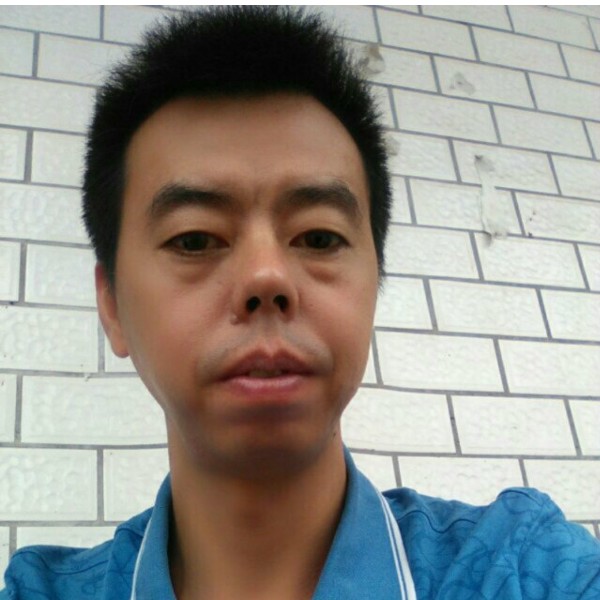 西牛和一个人的照片