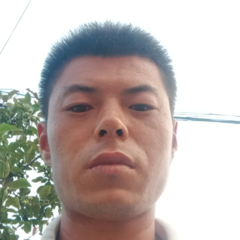 聪慧的如梦的照片