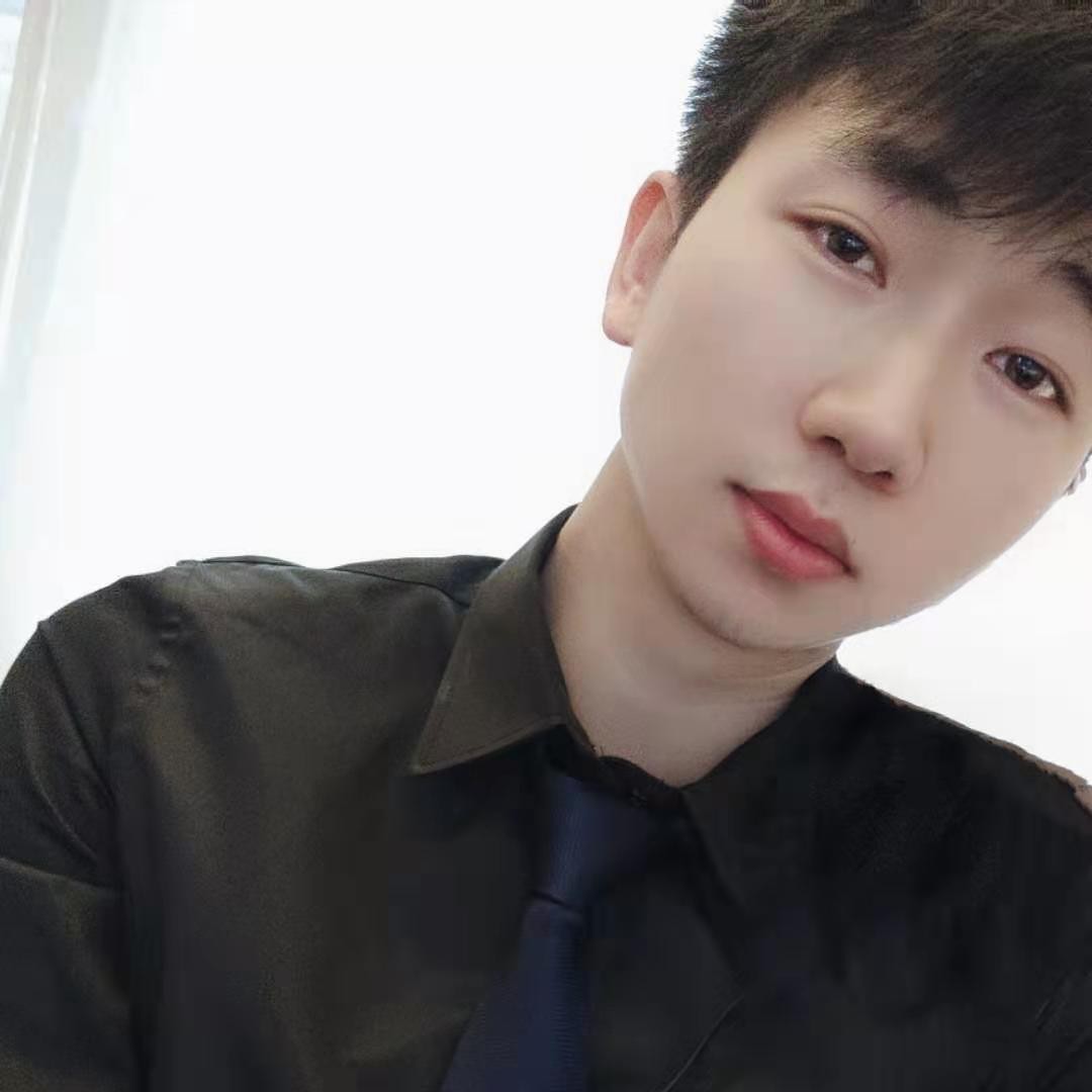 17cm的小狼狗的照片