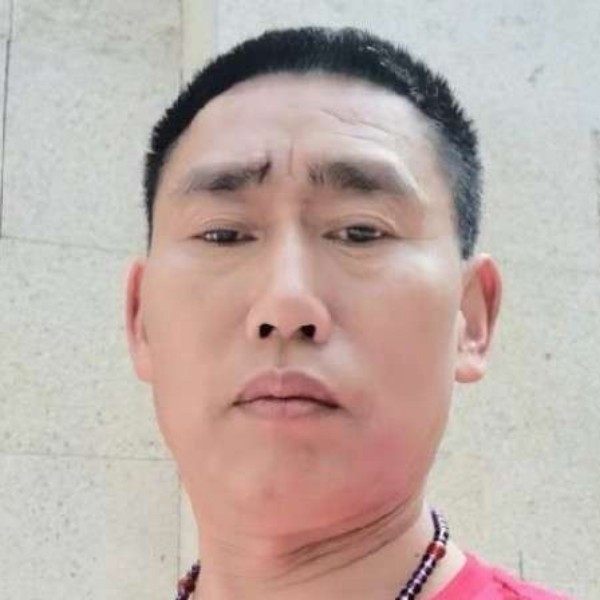蜻蜓演变慈祥的照片