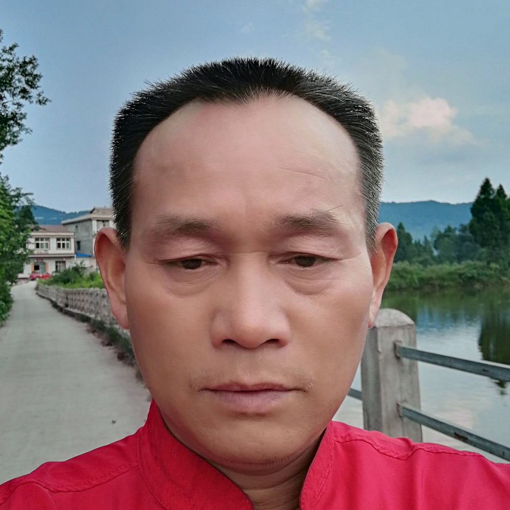 铅笔多么狂野的照片