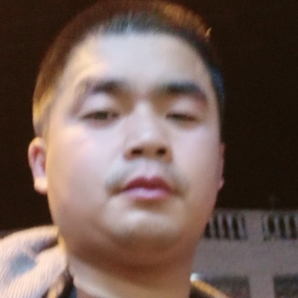 大象含蓄的照片