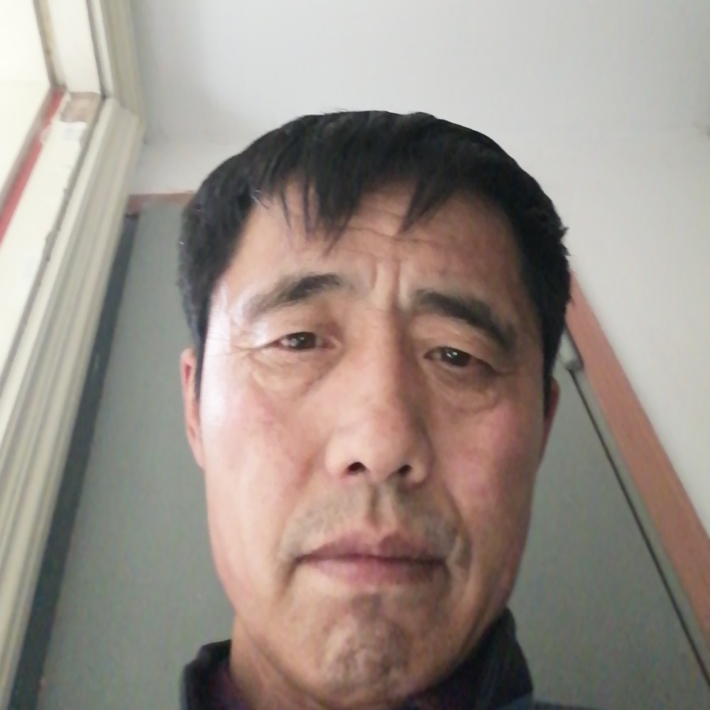醉熏的发卡的照片