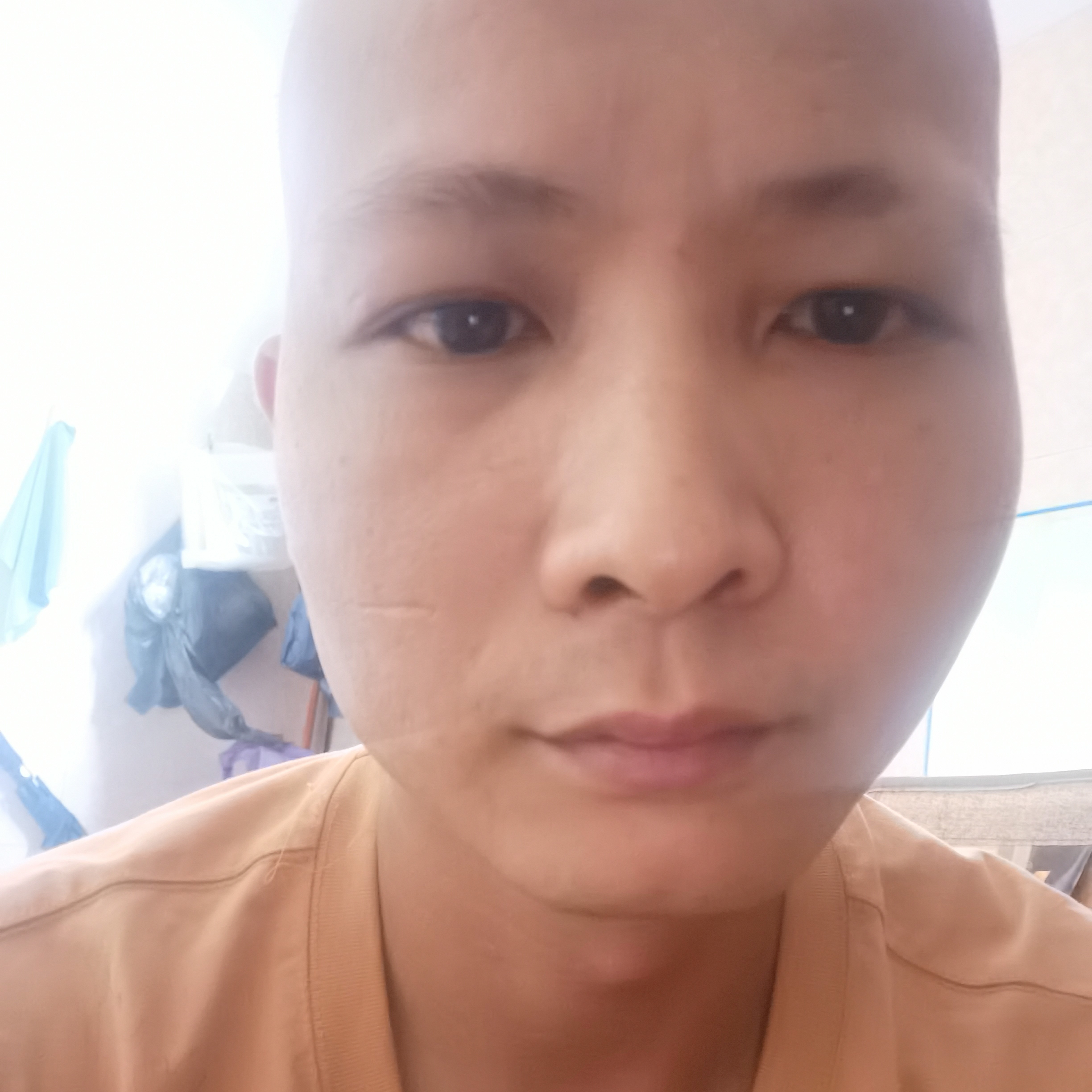 跳跃回首绿草的照片