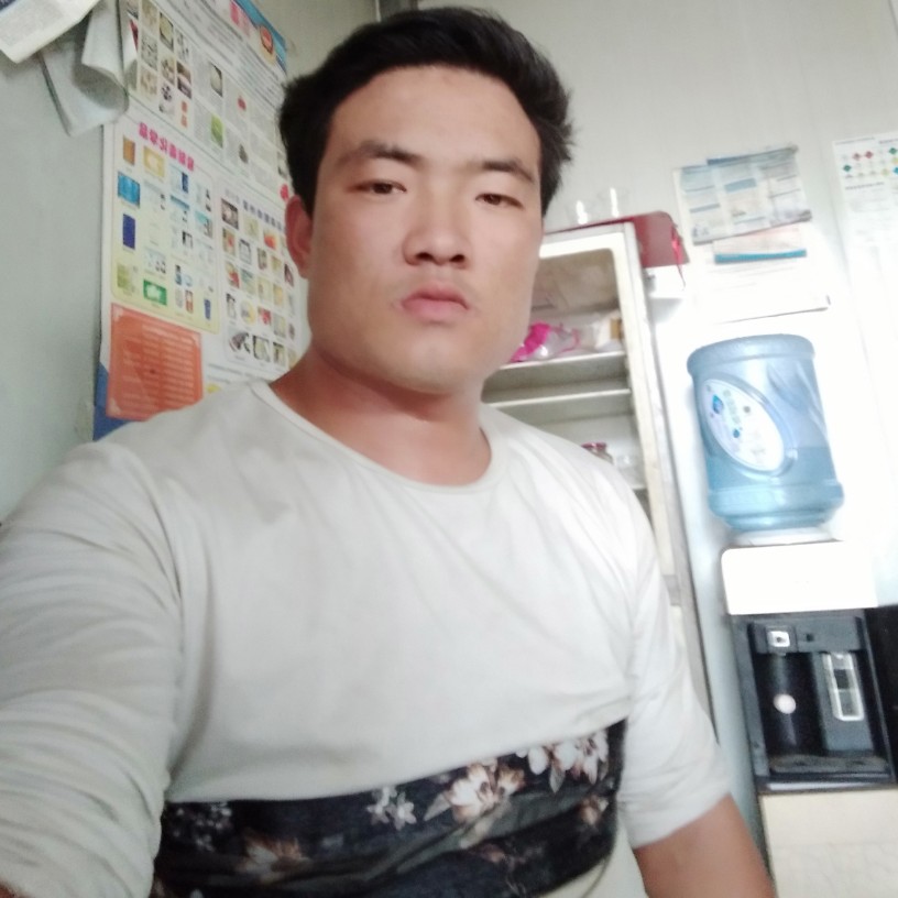 孤独的狼人1的照片