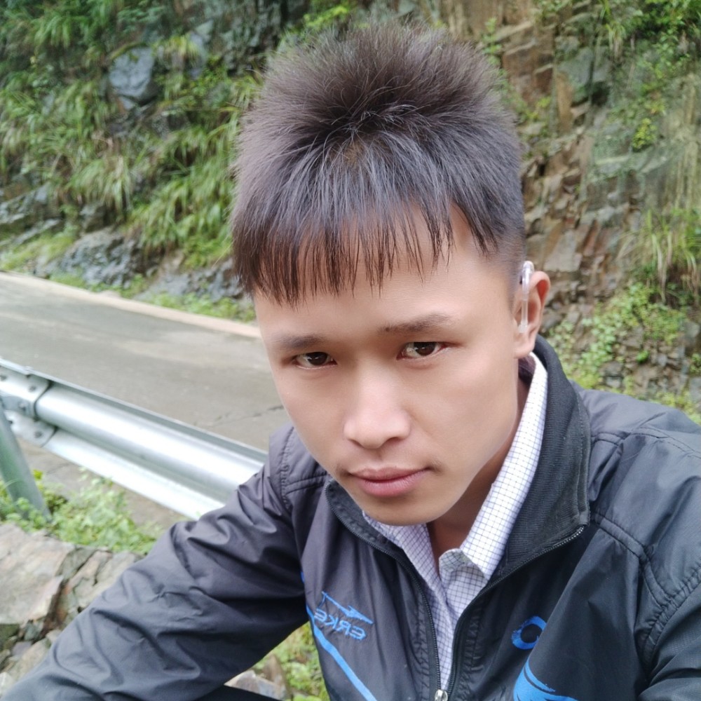 乌龟懦弱的照片