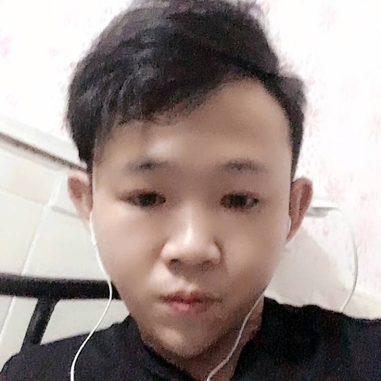 蛋挞的合适的照片