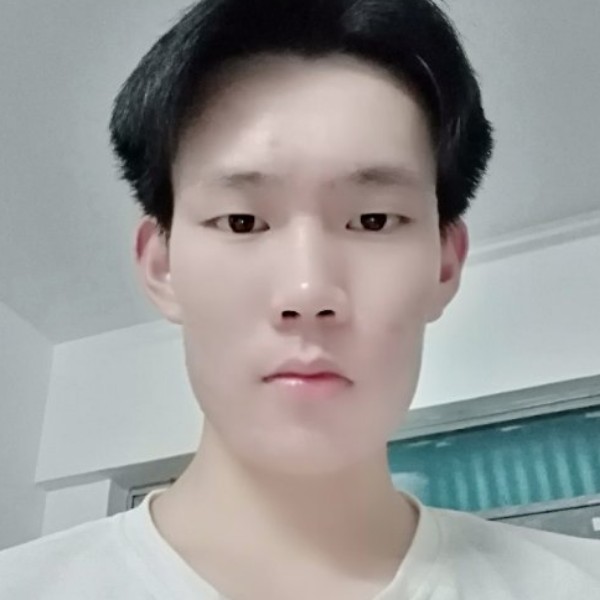 小鸭子停止迷茫的照片