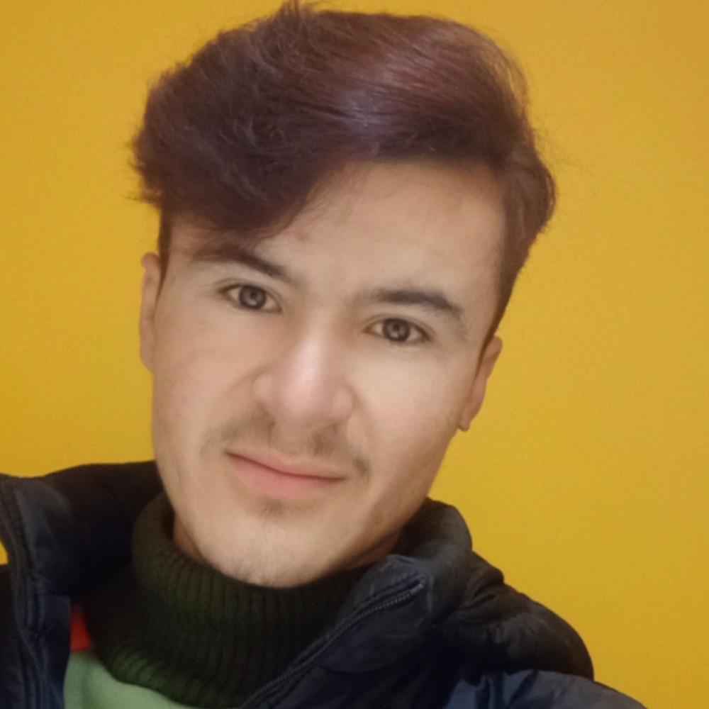 小海豚凝眸翩飞的照片