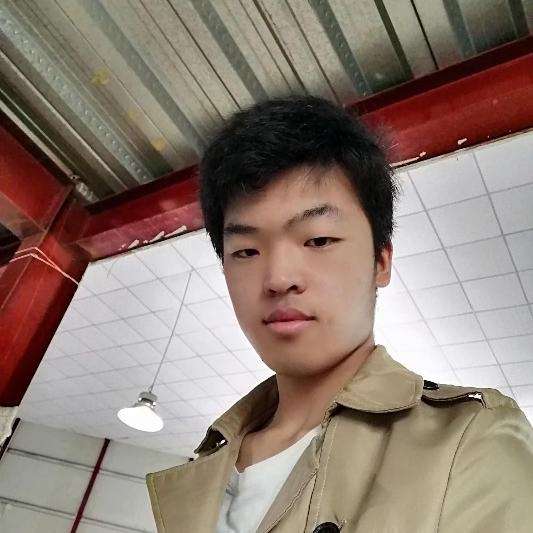 纸鹤还要减肥的照片