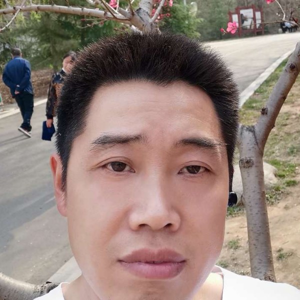 红玫瑰友好的照片