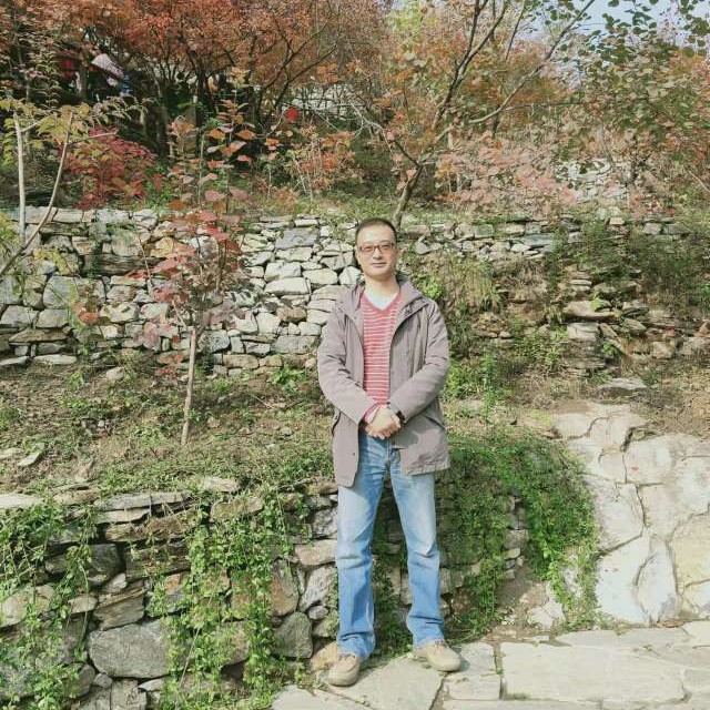 湖泽鹡鸰的照片