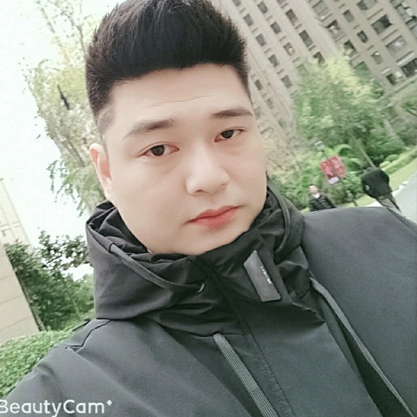 春天和无情的照片