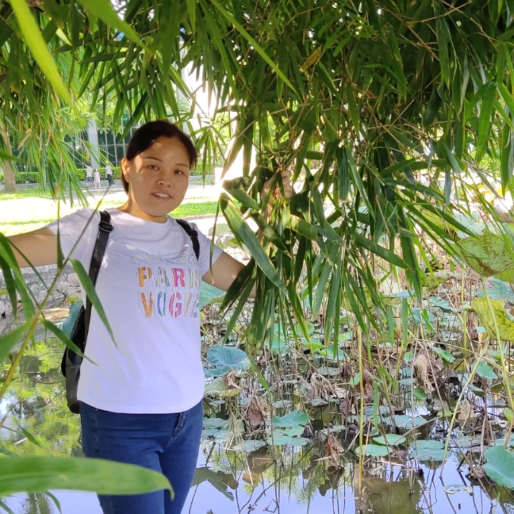 鞋垫优雅的照片