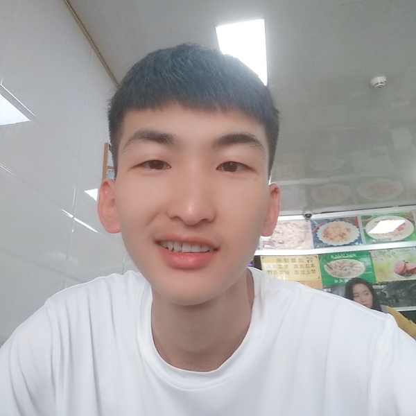 阳光倾心仙人掌的照片