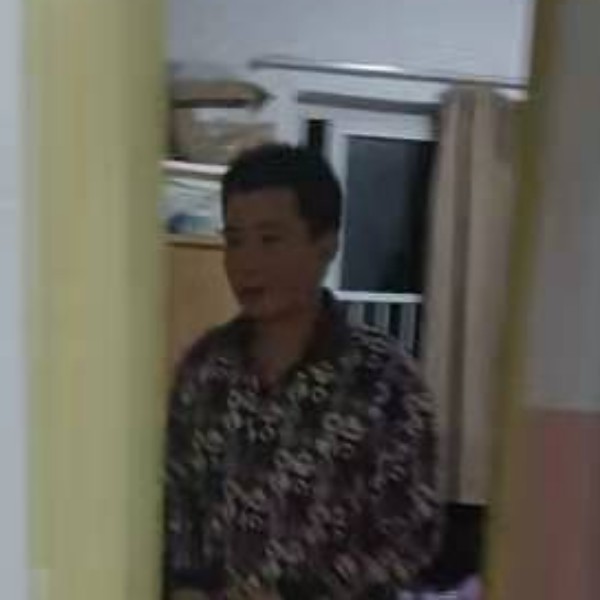 机智笑蜜蜂的照片
