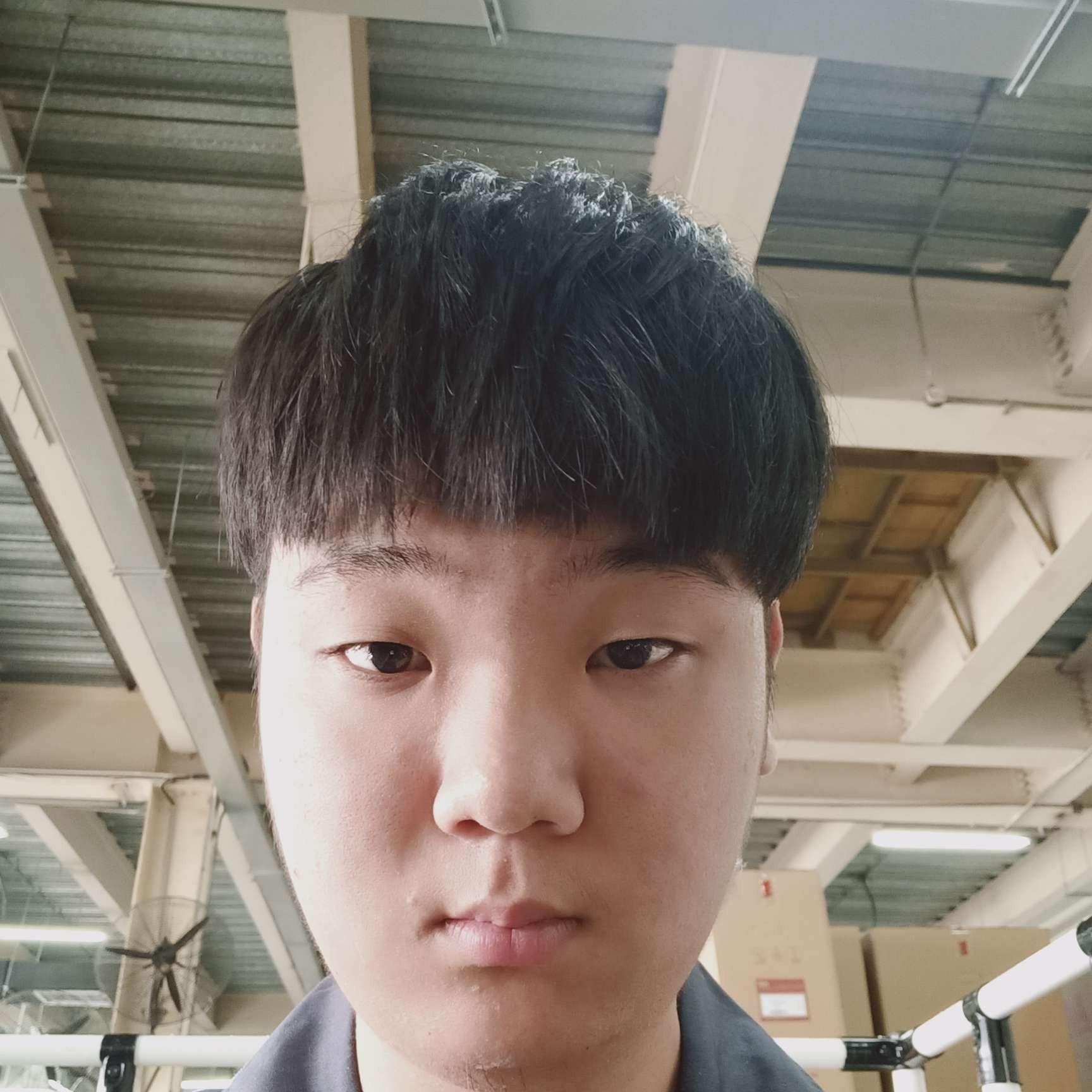 曾经漫步灰狼的照片
