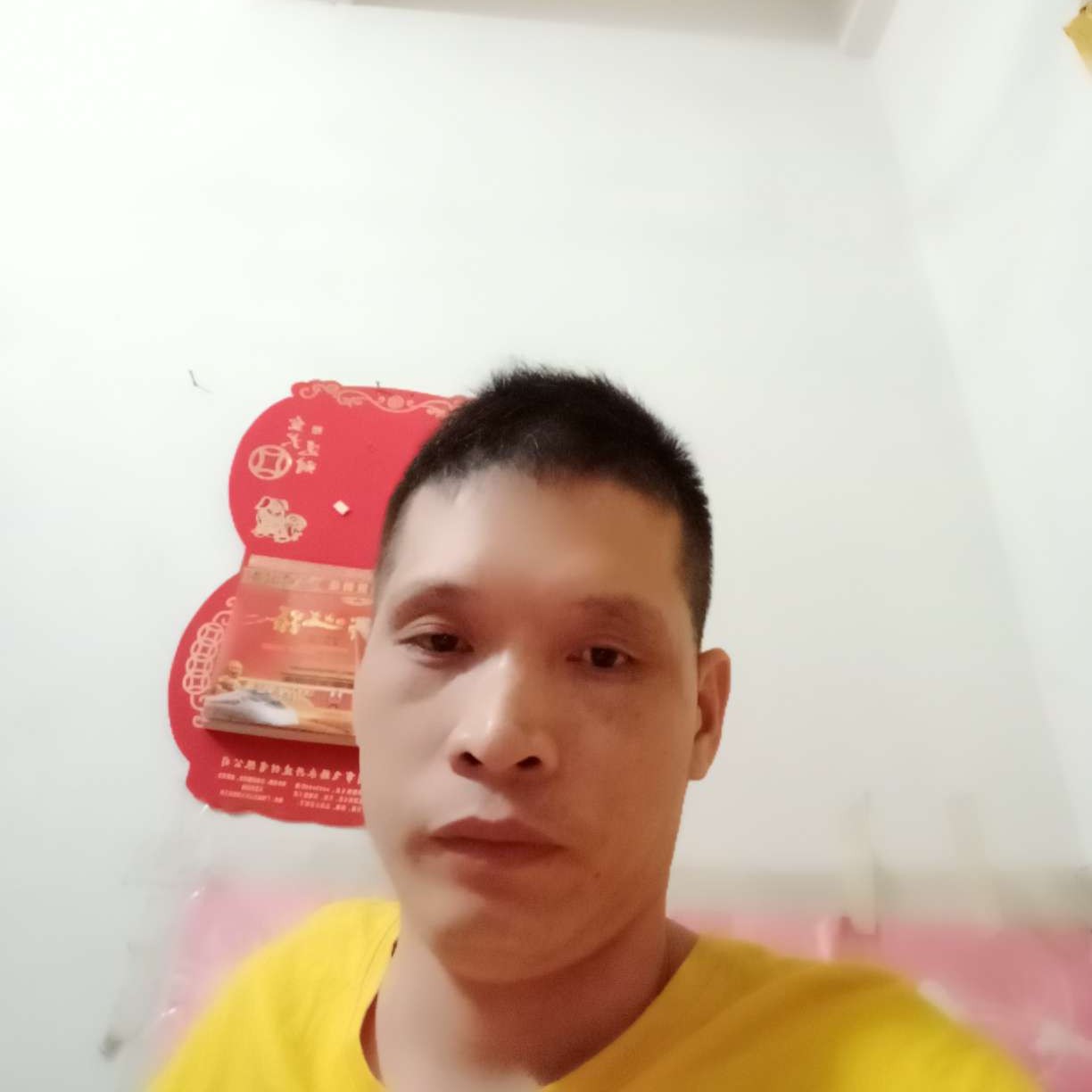 落拓蹙眉斑马的照片