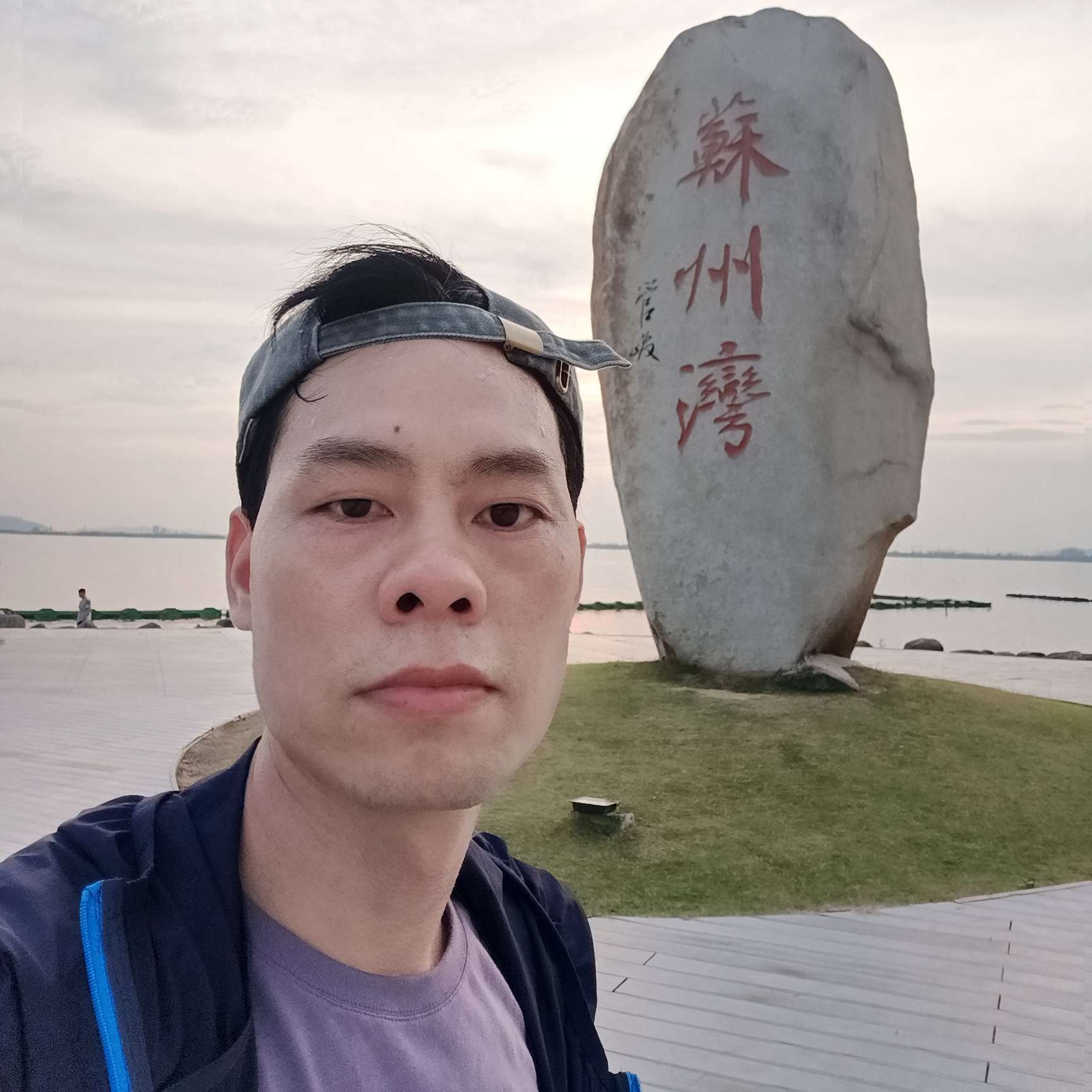 暴躁的小刺猬的照片
