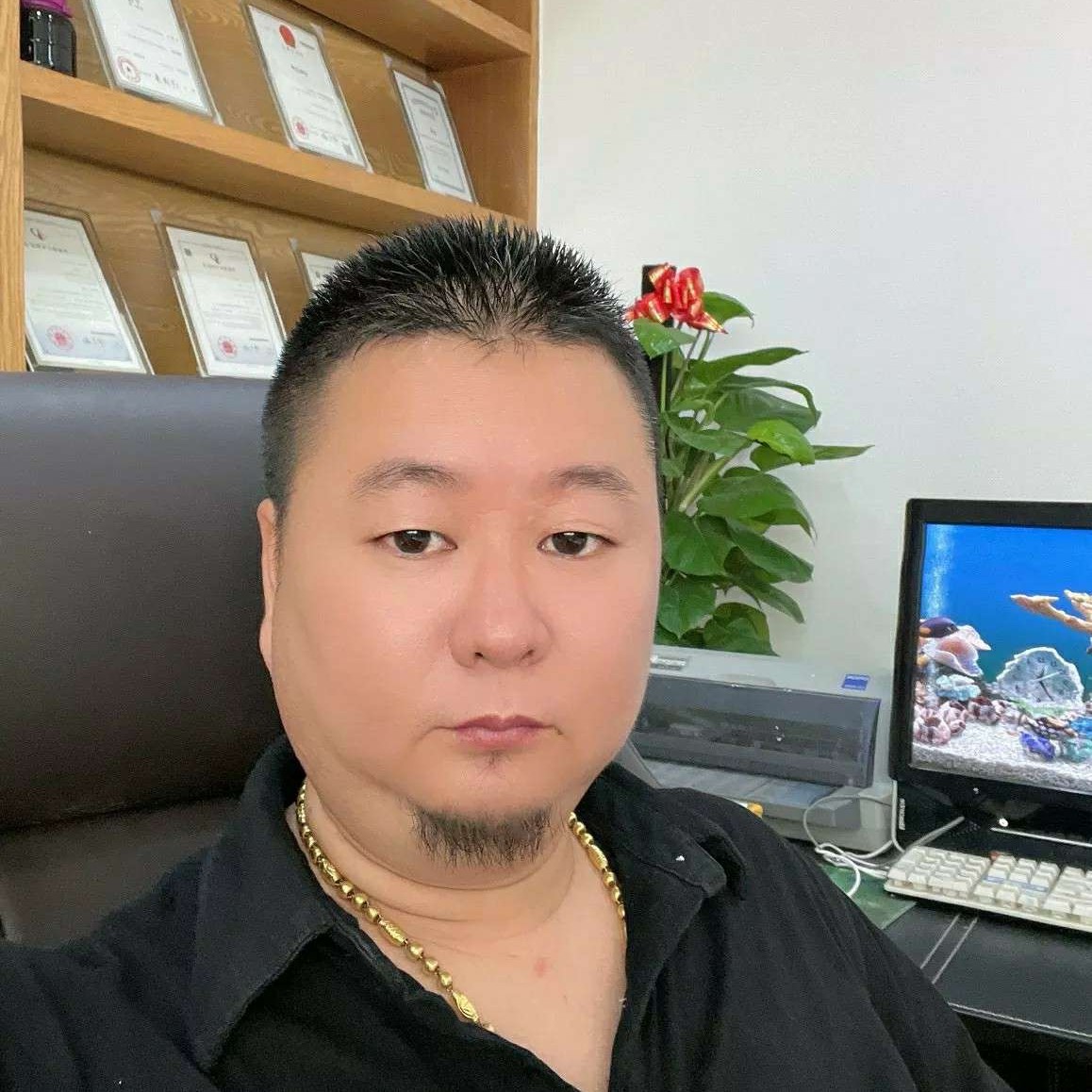 小蜜蜂倾心彩色的照片