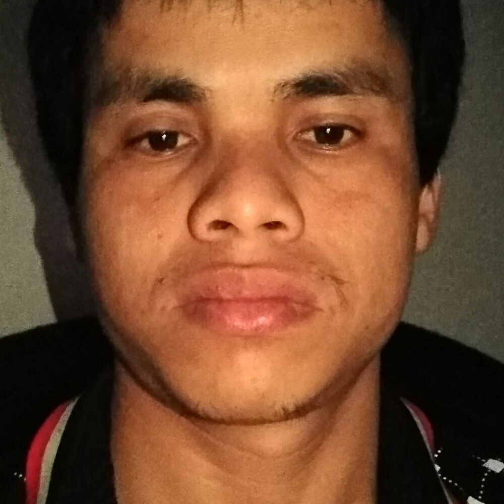 发卡风趣的照片