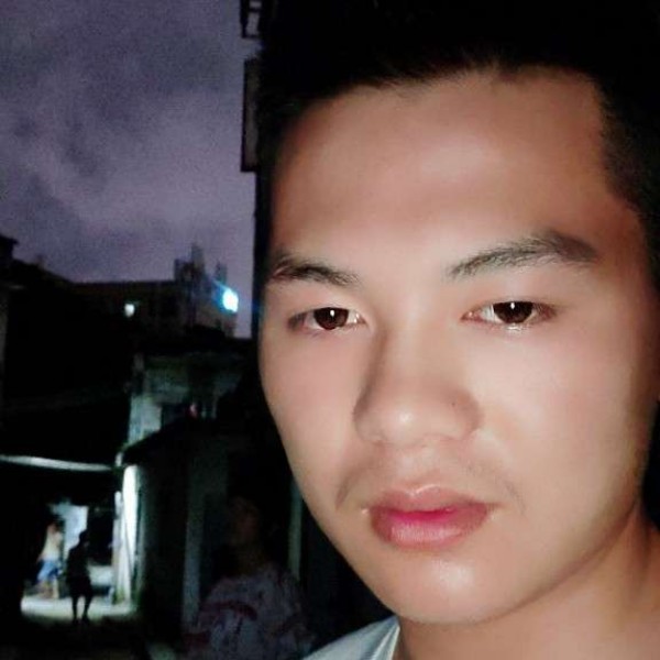 伴侣。的照片