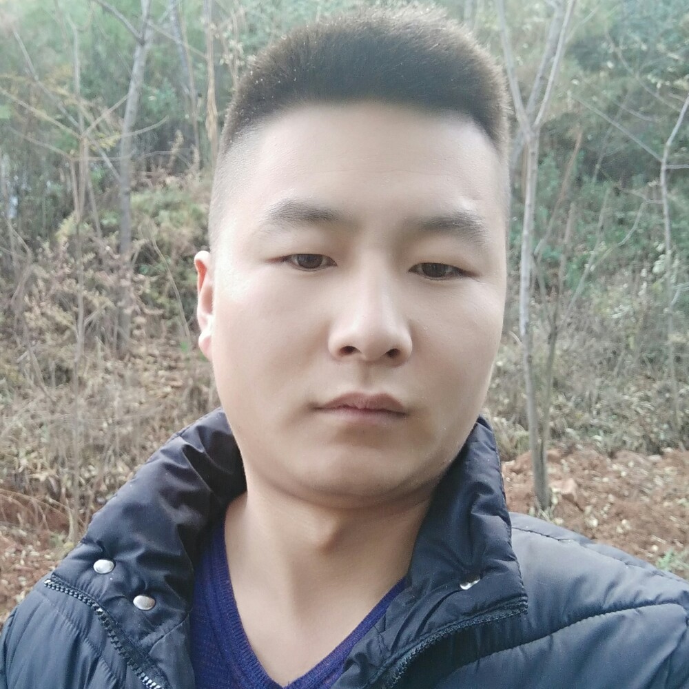 寒潭渡鹤的照片