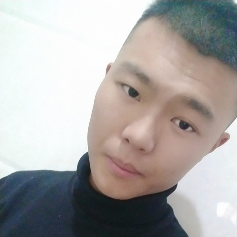 女人的狗的照片