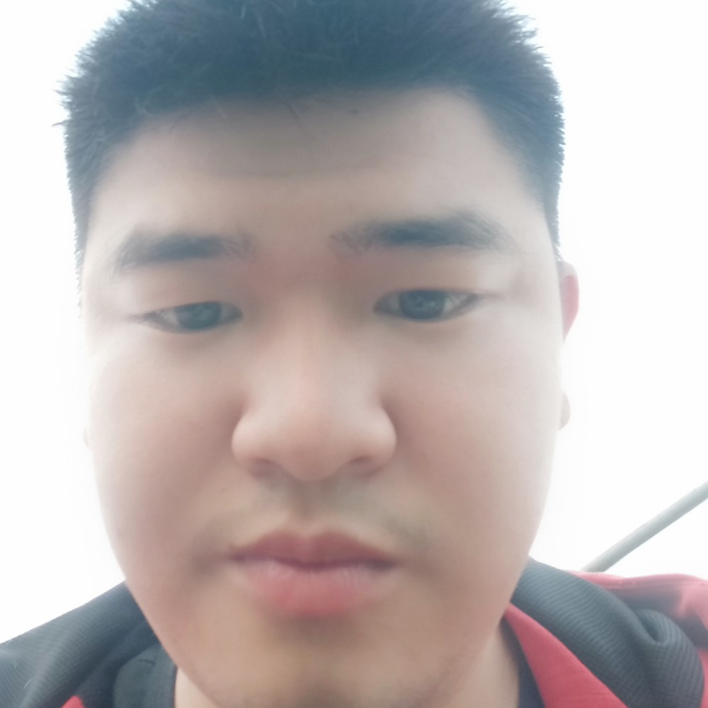 舒适深拥纸鹤的照片