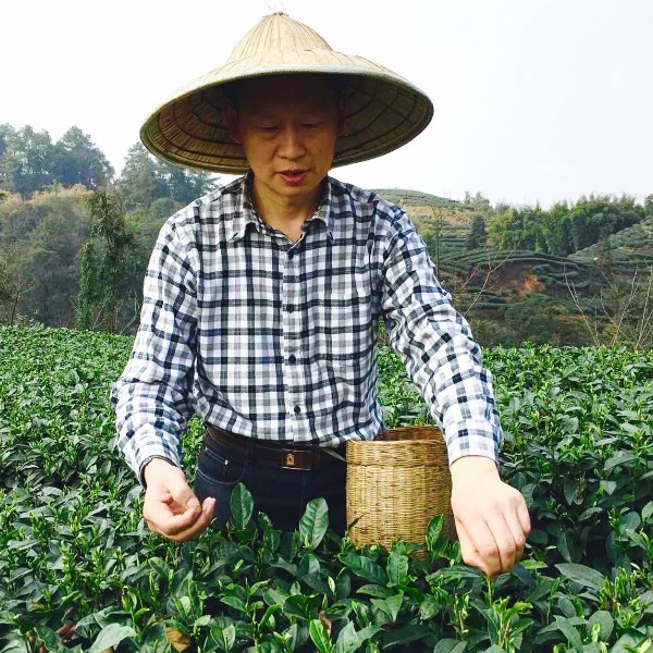 渃水饮胜的照片